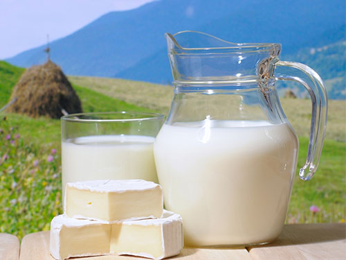 Молочные продукты