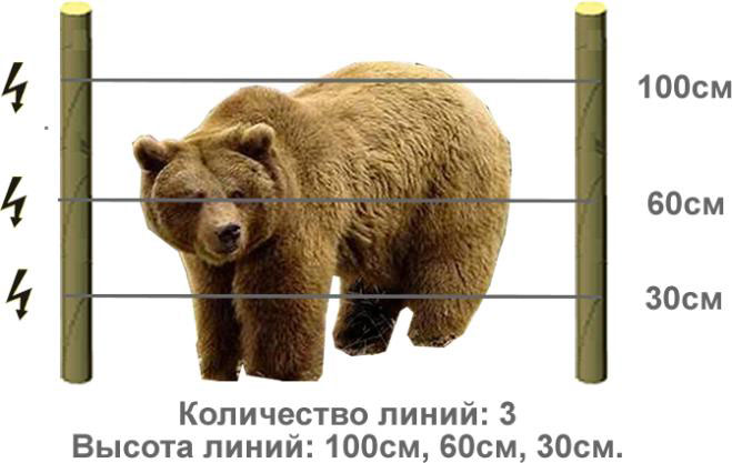 Медведь
